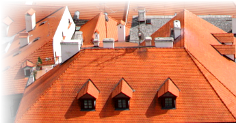 dachy Szczecin